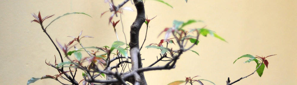 Mawi-Brillenproduktion